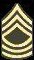 Master Sergeant [MSG]