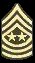 Sergeant Major of the Army   (SMA)